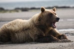 alaska2009_1246