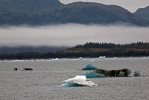 alaska2009_2529