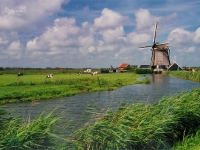 holland2004_03