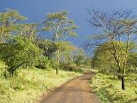 kenya2006_050