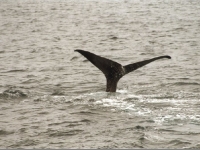 northcape2000_32