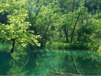 plitvice2005_10